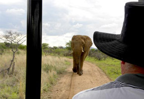 sun city accommodation
